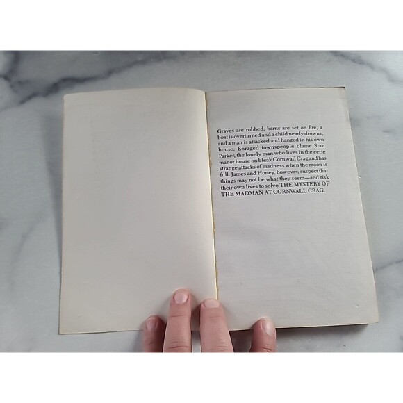 James Budd #1: The Mystery of the Madman at Cornwall Crag, Dale Carlson, 1984 - Picture 2 of 10